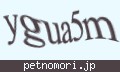 確認キーワード